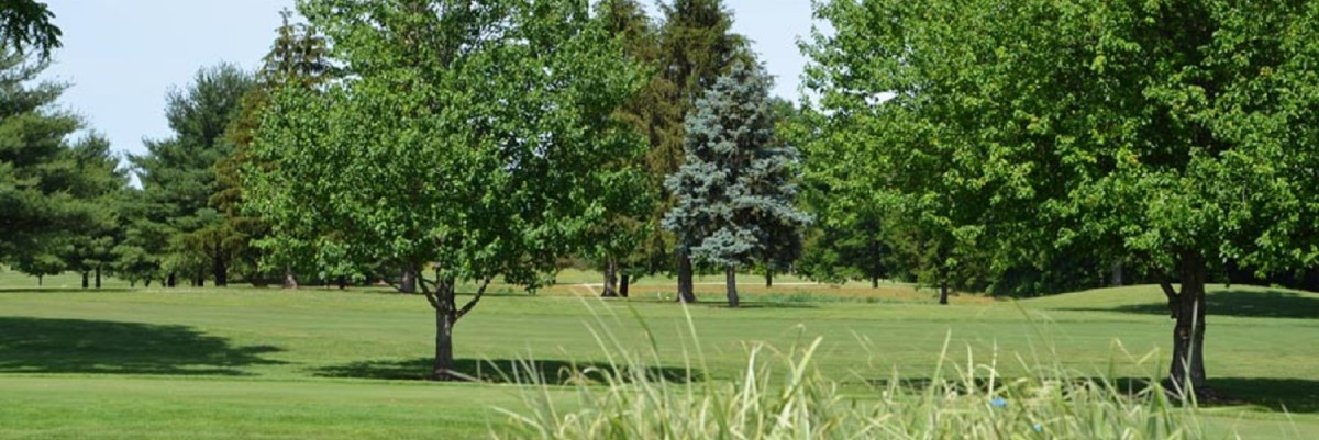 Indiana Golf Tournament Marine Corps, Falkner Landscaping Fairhope Albany